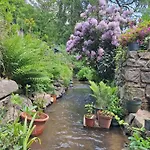 Du Moulin De Tanis * Oisseau