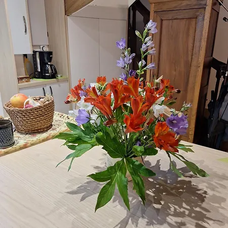 度假居 Du Moulin De Tanis Oisseau