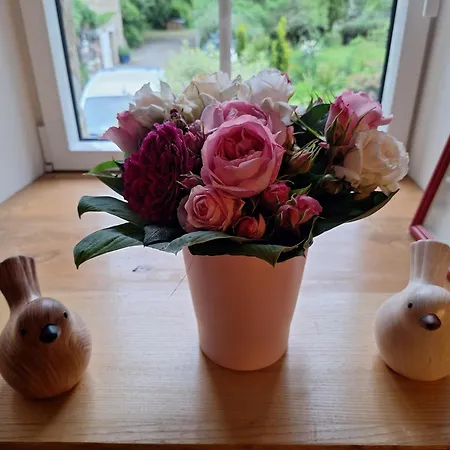 Du Moulin De Tanis * Oisseau