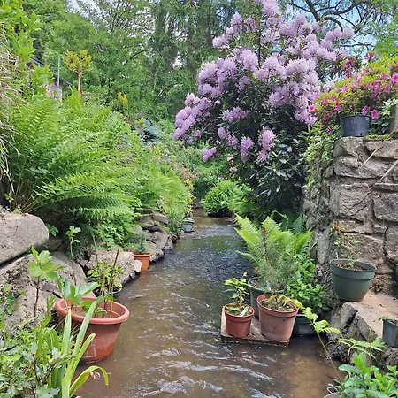 Du Moulin De Tanis * Oisseau