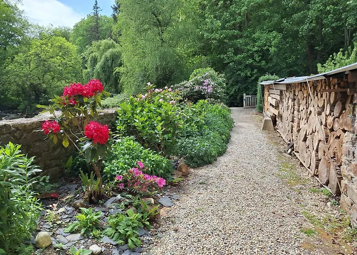 Du Moulin De Tanis * Oisseau