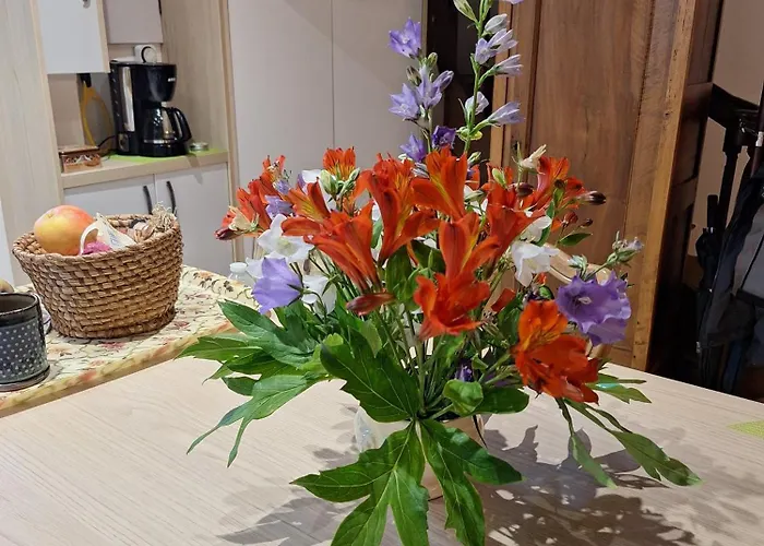 Ferienhaus Du Moulin De Tanis Oisseau