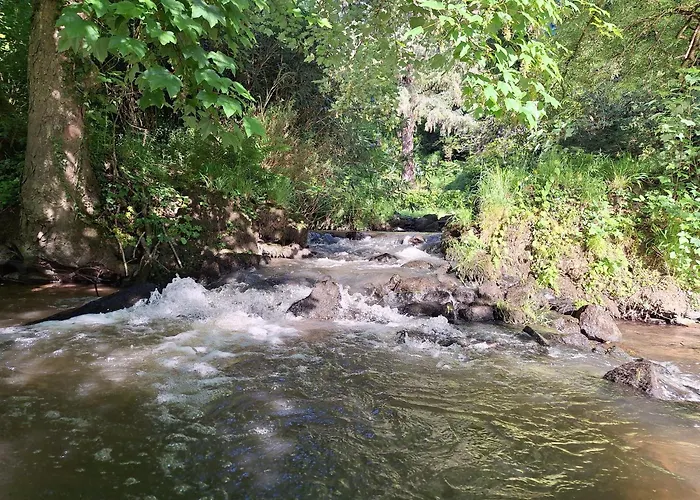 Du Moulin De Tanis 펜션 Oisseau