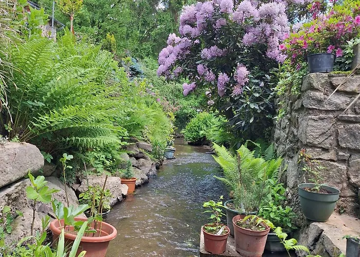 Du Moulin De Tanis Oisseau